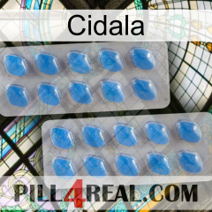 Cidala 23